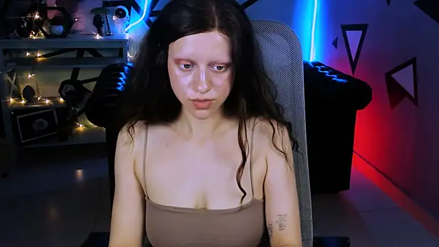LidaDarknet webcam