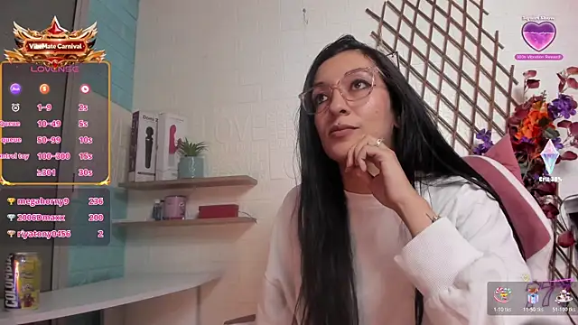 SALOME_KORLAND webcam