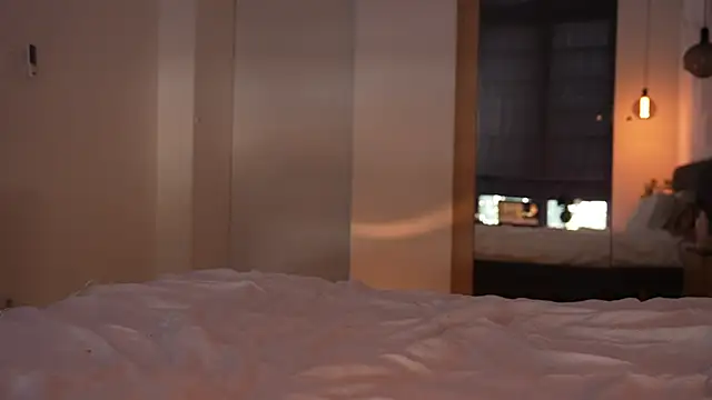 ibiddi webcam