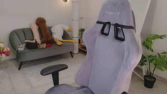 Mira_Falls webcam