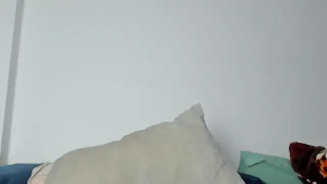 10in_deluxe webcam