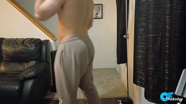 Thekodyy webcam