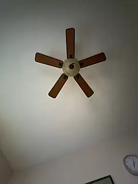 Highfrog1 webcam