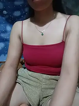 Havana- webcam