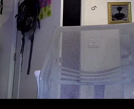 TheRealMrDLlong webcam