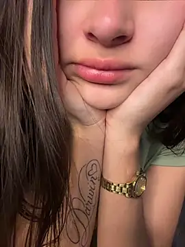 Aylin-fire webcam