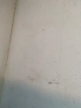 Giiada_Miller webcam