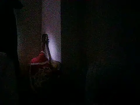 latinound webcam