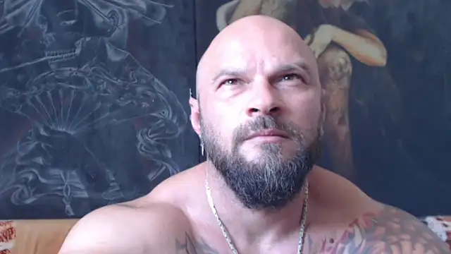 viking_30 webcam