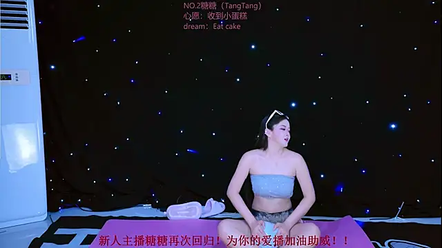 CCTW-100 webcam