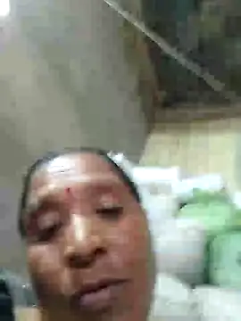 Loomaraj webcam