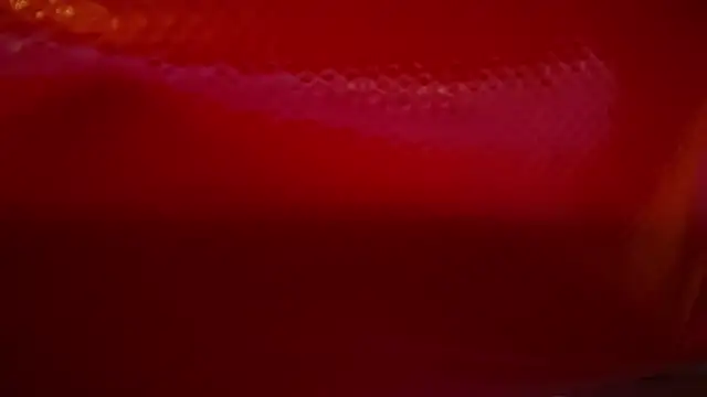 icebergslim281 webcam