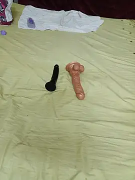 Saso-4 live cam