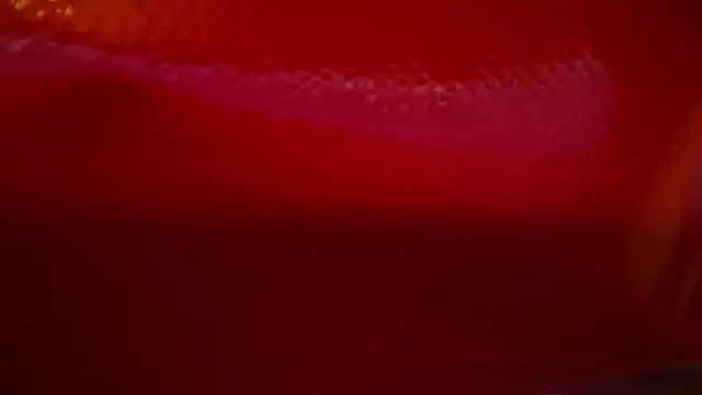 icebergslim281 webcam