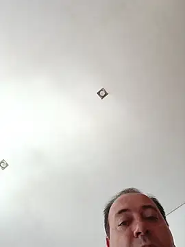 gladieitore webcam