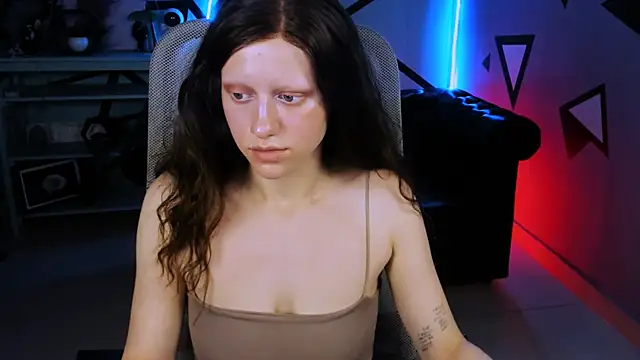 LidaDarknet webcam