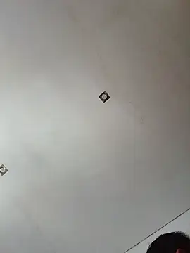 gladieitore webcam