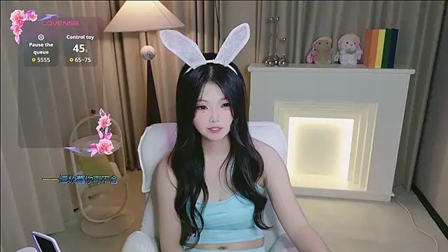 DAIDAI-520 webcam