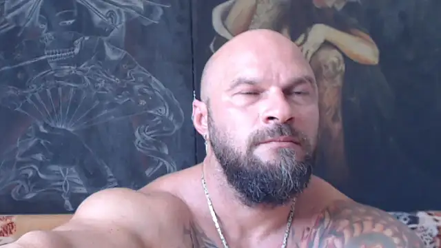 viking_30 webcam
