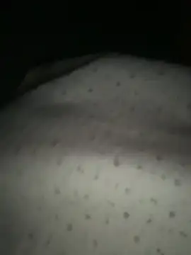 daaqnn webcam