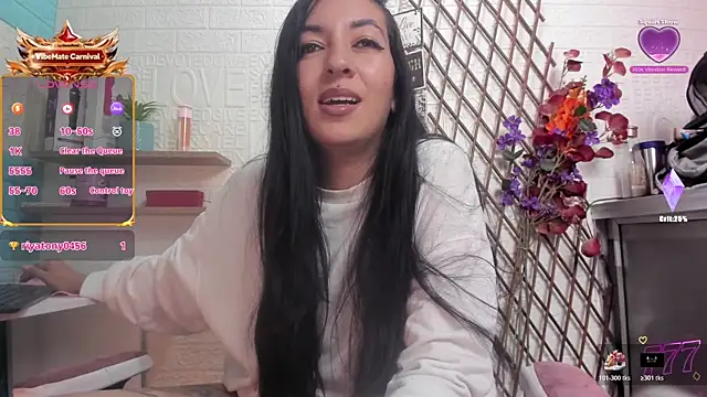 SALOME_KORLAND webcam
