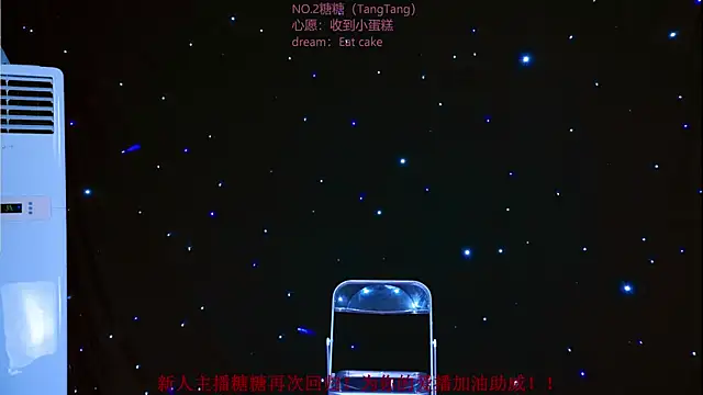 CCTW-100 webcam