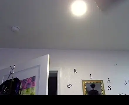 TheRealMrDLlong webcam