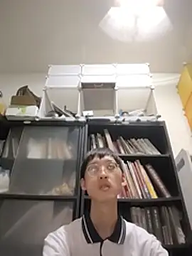 Lv8763 webcam