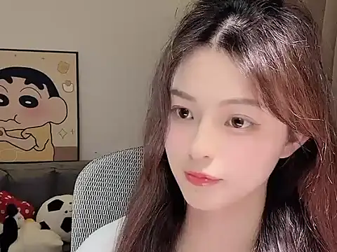 Dodo-13 webcam