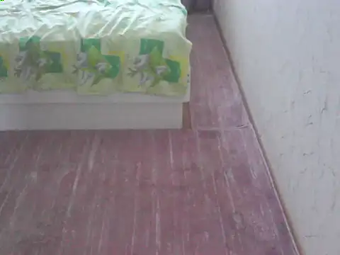 svvs27 webcam