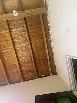 Exotic__XXX webcam