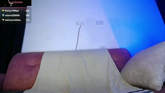 Palo_santo webcam