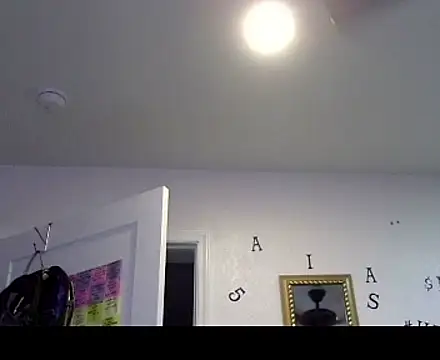 TheRealMrDLlong webcam