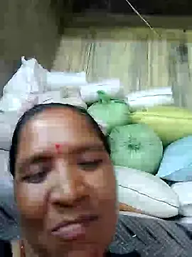 Loomaraj webcam