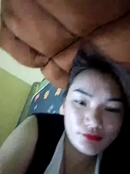 Voiva11 webcam