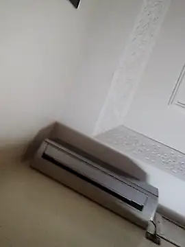 Demillvan webcam