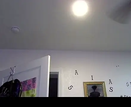 TheRealMrDLlong webcam