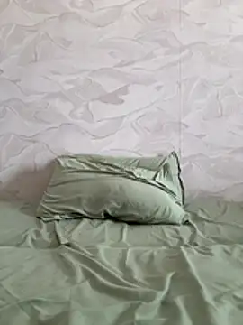 RUS208 webcam