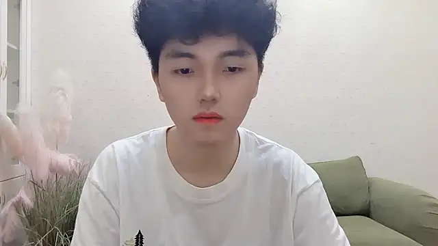 GF_001 webcam