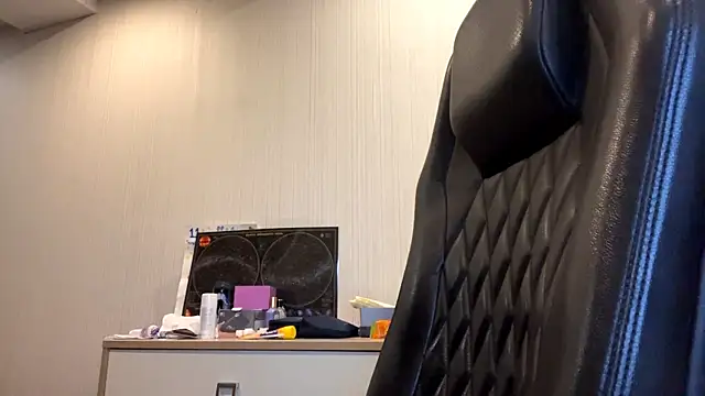 MnemonicSimplism webcam