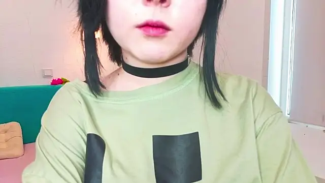 HirokoBard webcam