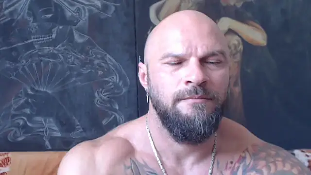 viking_30 webcam