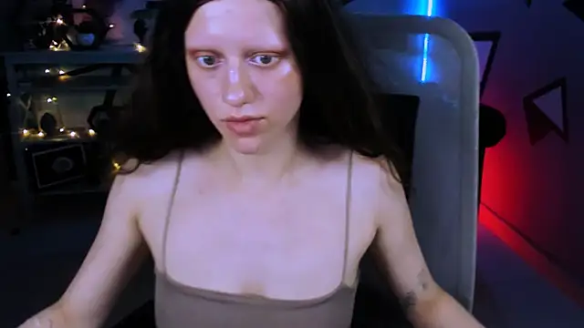 LidaDarknet webcam