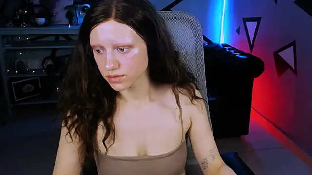 LidaDarknet webcam