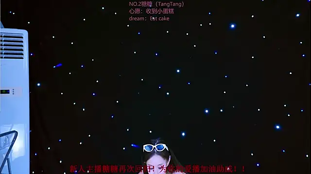 CCTW-100 webcam