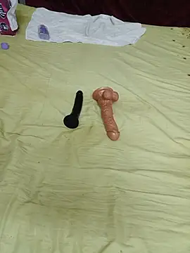 Saso-4 webcam
