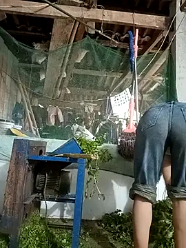 nangmo live cam on StripChat