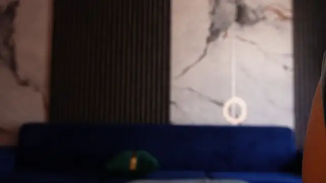 AryaGold webcam