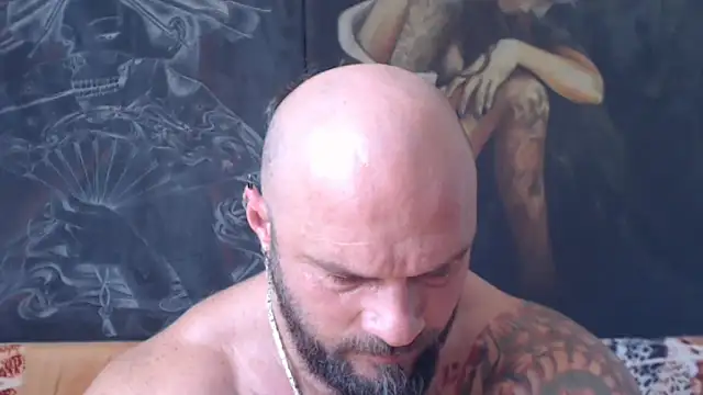 viking_30 webcam