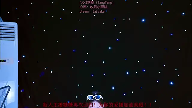 CCTW-100 webcam